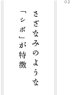 さざなみのような 「シボ」が特徴